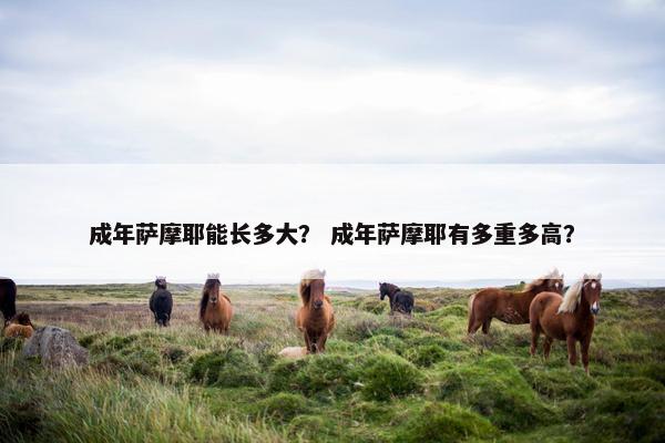 成年萨摩耶能长多大？ 成年萨摩耶有多重多高？
