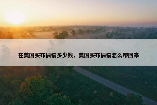 在美国买布偶猫多少钱，美国买布偶猫怎么带回来
