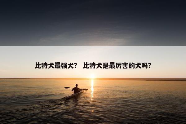 比特犬最强犬？ 比特犬是最厉害的犬吗？