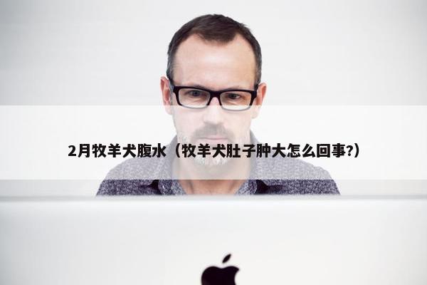 2月牧羊犬腹水（牧羊犬肚子肿大怎么回事?）