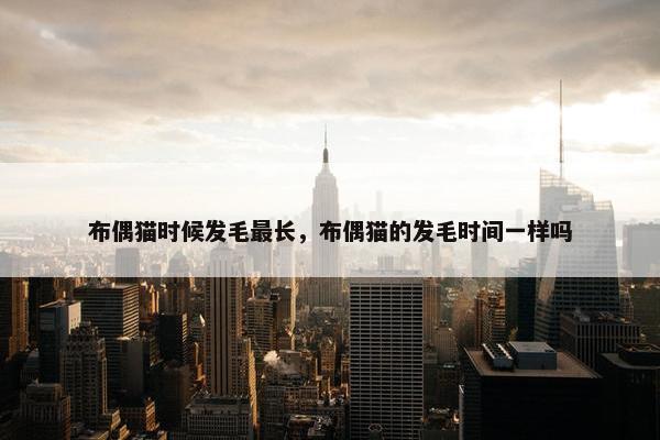 布偶猫时候发毛最长，布偶猫的发毛时间一样吗
