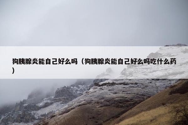 狗胰腺炎能自己好么吗（狗胰腺炎能自己好么吗吃什么药）