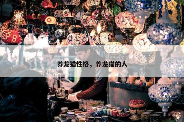 养龙猫性格，养龙猫的人