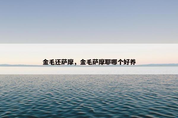 金毛还萨摩，金毛萨摩耶哪个好养