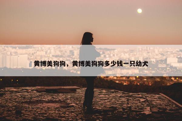 黄博美狗狗，黄博美狗狗多少钱一只幼犬