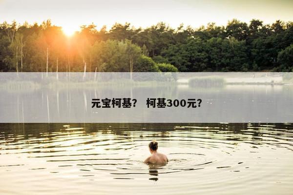 元宝柯基？ 柯基300元？