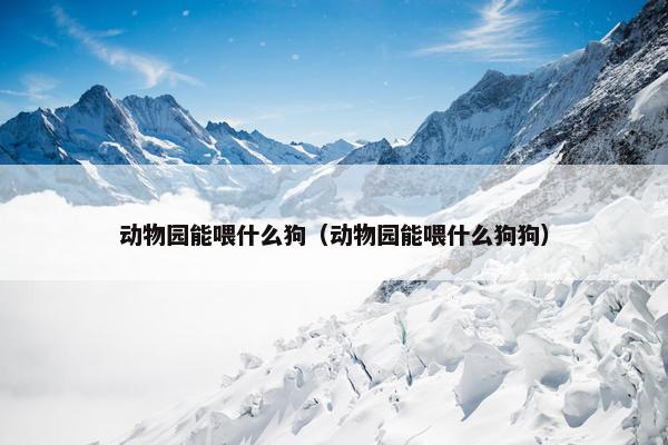 动物园能喂什么狗（动物园能喂什么狗狗）