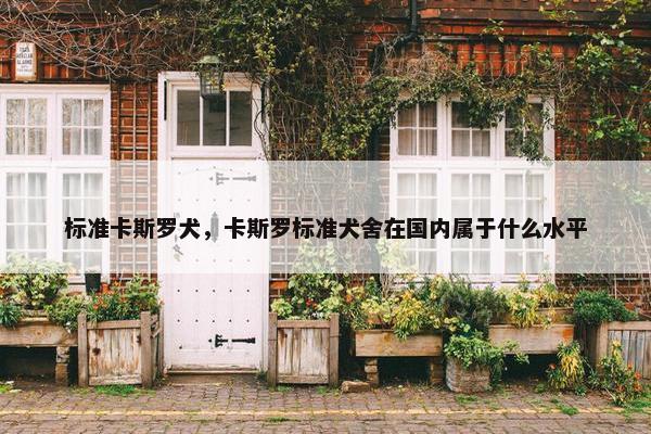 标准卡斯罗犬，卡斯罗标准犬舍在国内属于什么水平