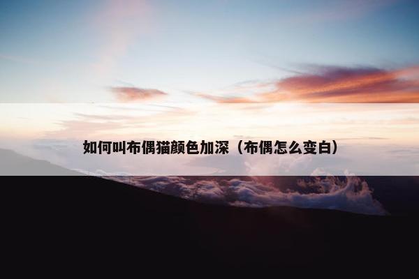 如何叫布偶猫颜色加深（布偶怎么变白）