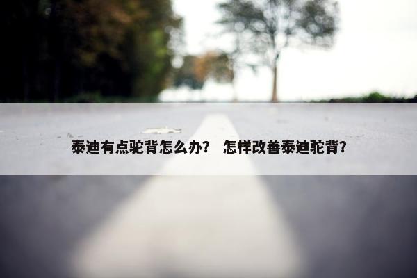 泰迪有点驼背怎么办？ 怎样改善泰迪驼背？