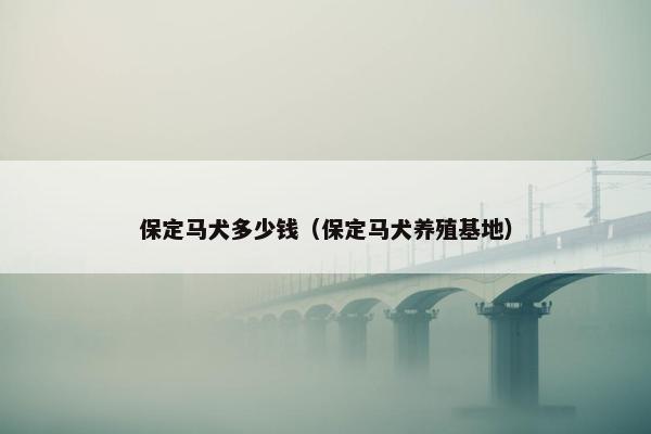 保定马犬多少钱（保定马犬养殖基地）