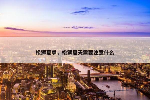 松狮夏季，松狮夏天需要注意什么
