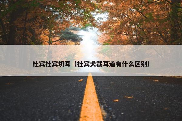 杜宾杜宾切耳（杜宾犬裁耳道有什么区别）