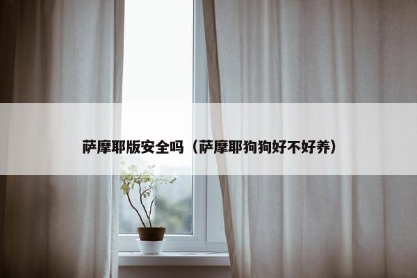 萨摩耶版安全吗（萨摩耶狗狗好不好养）
