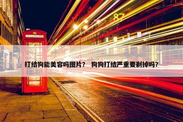 打结狗能美容吗图片？ 狗狗打结严重要剃掉吗？