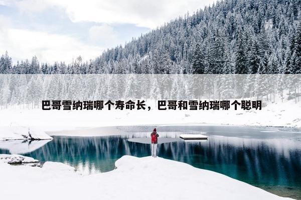 巴哥雪纳瑞哪个寿命长，巴哥和雪纳瑞哪个聪明