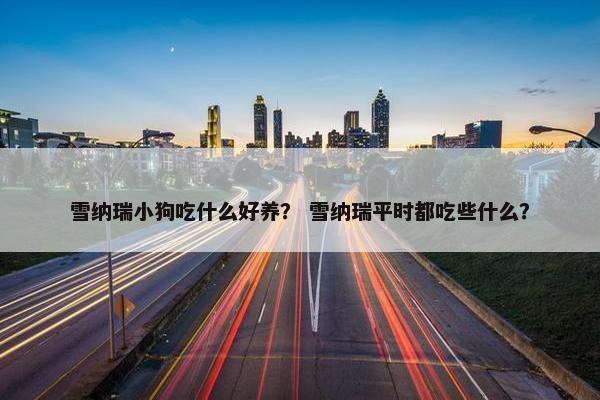 雪纳瑞小狗吃什么好养？ 雪纳瑞平时都吃些什么？