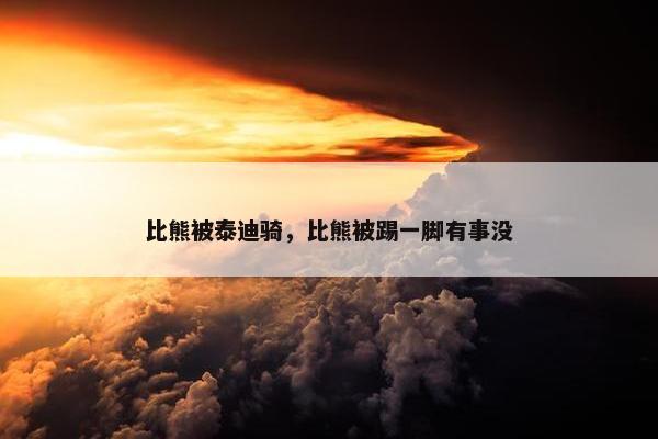 比熊被泰迪骑，比熊被踢一脚有事没