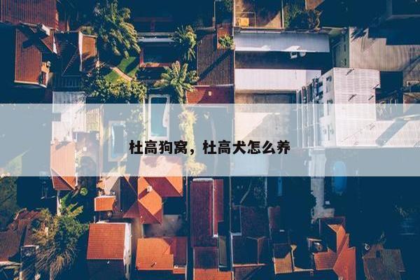 杜高狗窝，杜高犬怎么养