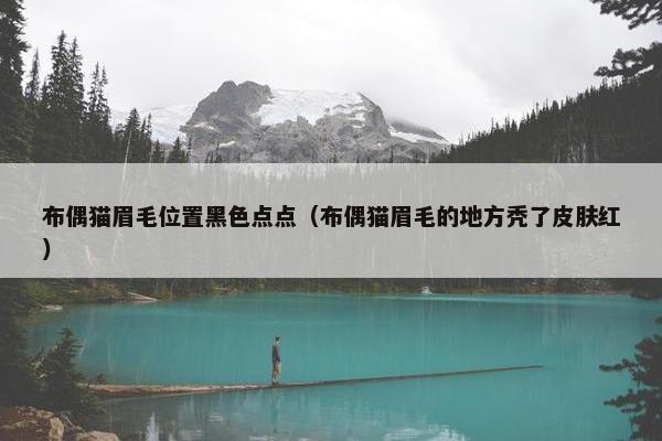 布偶猫眉毛位置黑色点点（布偶猫眉毛的地方秃了皮肤红）