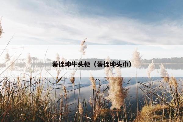 蔡徐坤牛头梗(蔡徐坤头巾) 蔡徐坤牛头梗(蔡徐坤头巾)