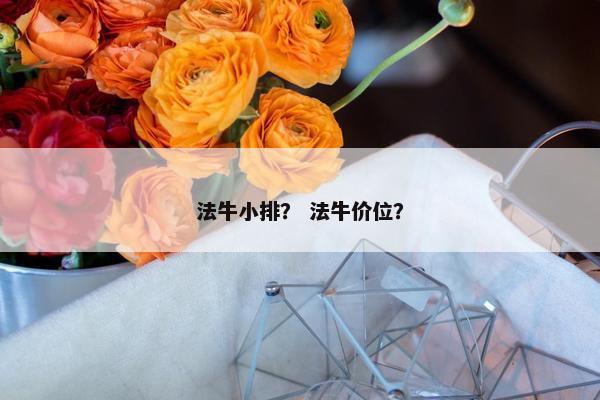 法牛小排？ 法牛价位？