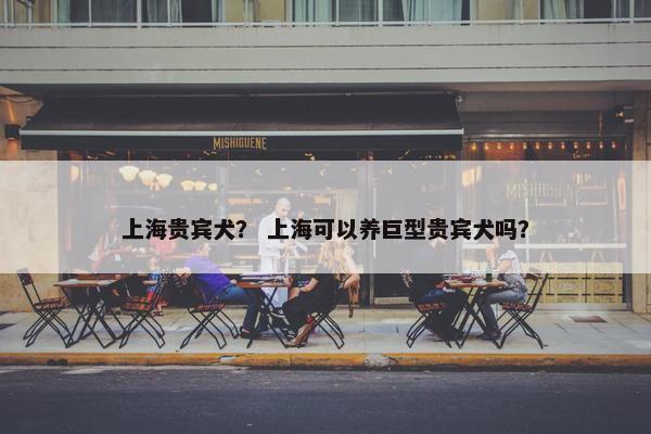 上海贵宾犬？ 上海可以养巨型贵宾犬吗？