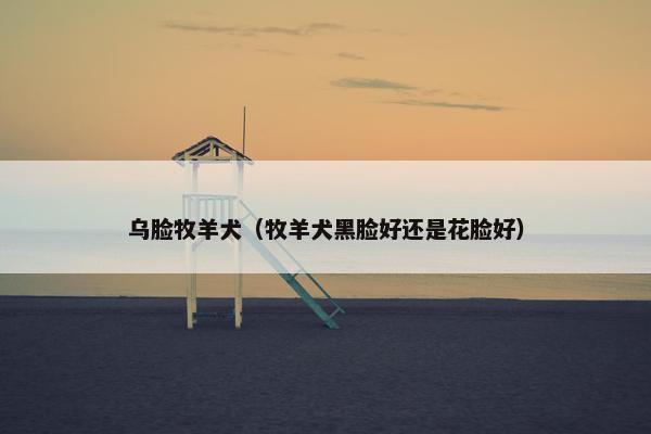 乌脸牧羊犬（牧羊犬黑脸好还是花脸好）