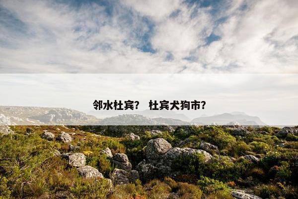 邻水杜宾？ 杜宾犬狗市？