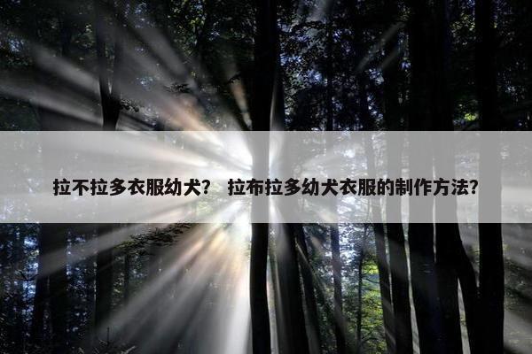 拉不拉多衣服幼犬？ 拉布拉多幼犬衣服的制作方法？