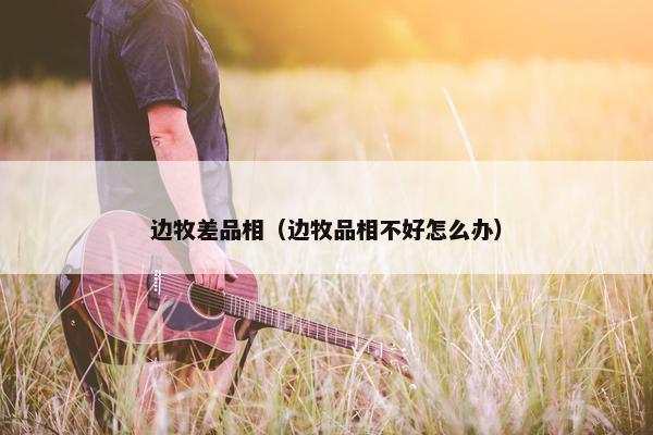 边牧差品相（边牧品相不好怎么办）