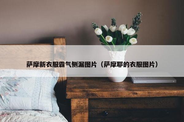 萨摩新衣服霸气侧漏图片(萨摩耶的衣服图片) 萨摩新衣服霸气侧漏图片(萨摩耶的衣服图片)