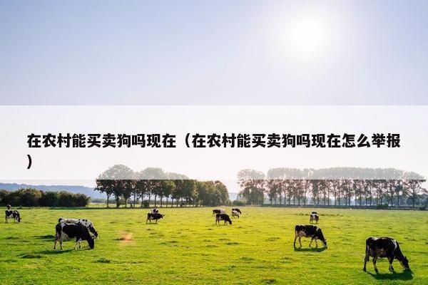 在农村能买卖狗吗现在（在农村能买卖狗吗现在怎么举报）