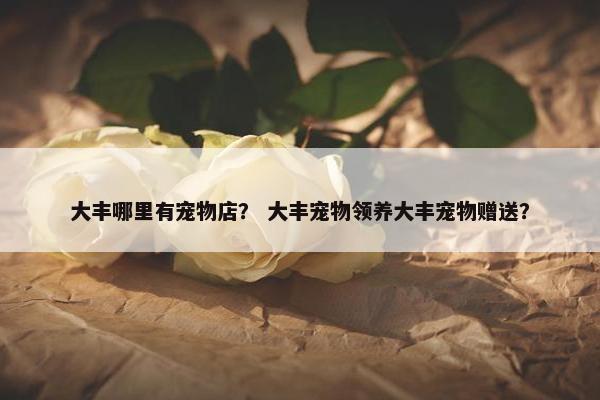 大丰哪里有宠物店？ 大丰宠物领养大丰宠物赠送？