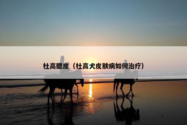 杜高腮皮（杜高犬皮肤病如何治疗）