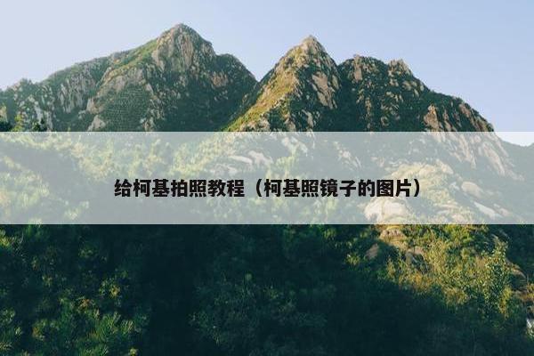 给柯基拍照教程（柯基照镜子的图片）