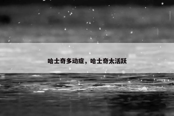 哈士奇多动症，哈士奇太活跃