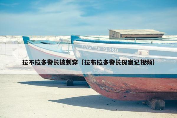 拉不拉多警长被刺穿（拉布拉多警长探案记视频）