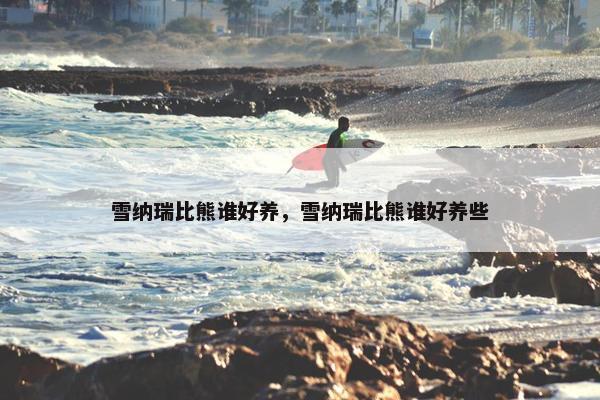 雪纳瑞比熊谁好养，雪纳瑞比熊谁好养些