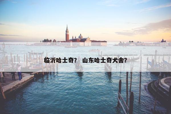 临沂哈士奇？ 山东哈士奇犬舍？