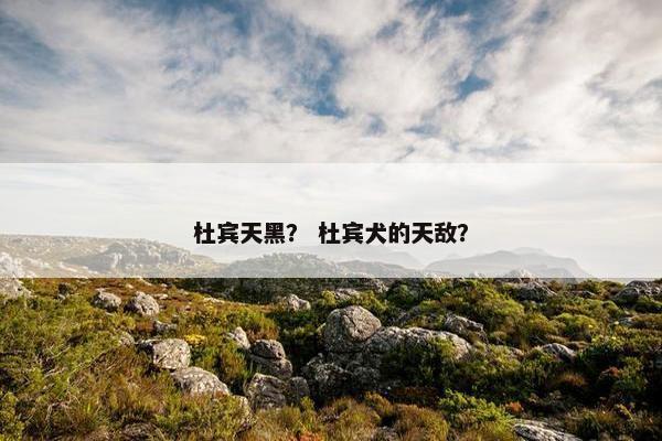 杜宾天黑？ 杜宾犬的天敌？