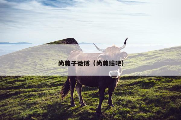 尚美子微博（尚美贴吧）
