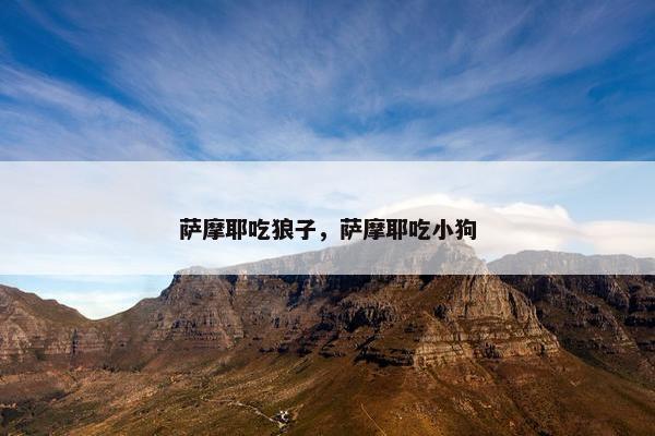萨摩耶吃狼子，萨摩耶吃小狗