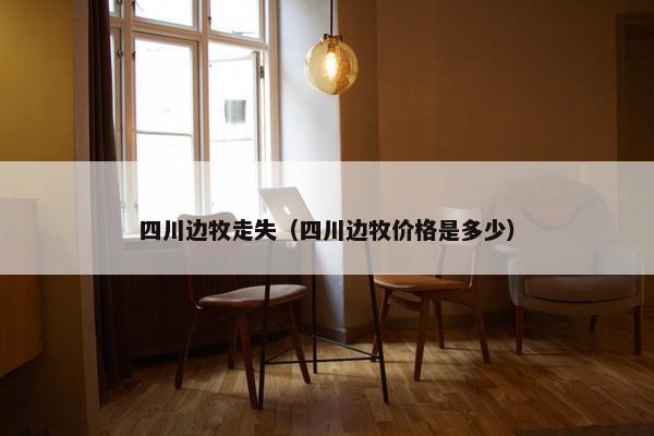 四川边牧走失（四川边牧价格是多少）