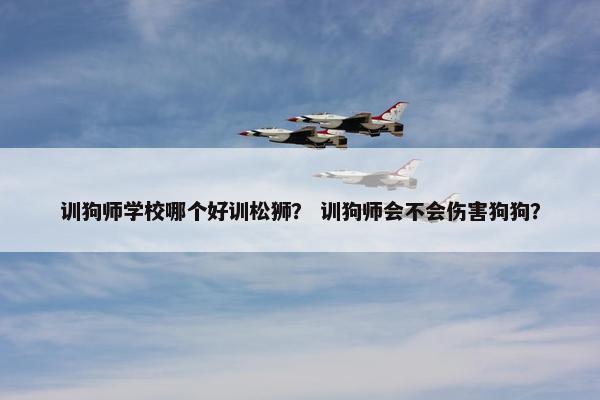 训狗师学校哪个好训松狮？ 训狗师会不会伤害狗狗？
