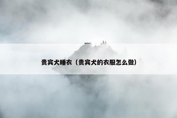 贵宾犬睡衣（贵宾犬的衣服怎么做）