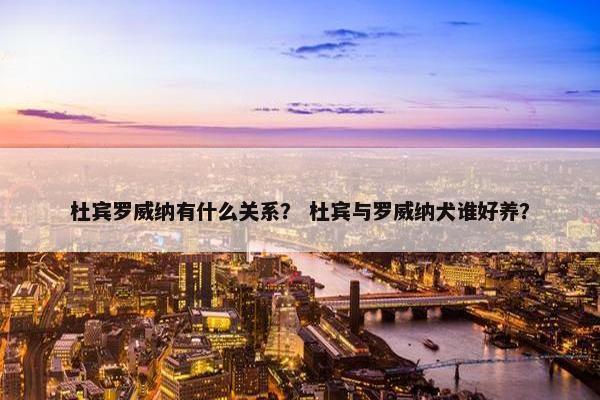 杜宾罗威纳有什么关系？ 杜宾与罗威纳犬谁好养？
