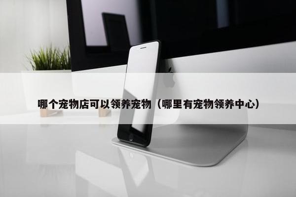 哪个宠物店可以领养宠物（哪里有宠物领养中心）