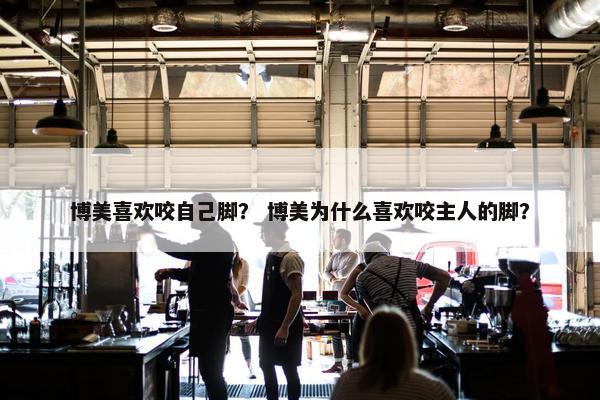 博美喜欢咬自己脚？ 博美为什么喜欢咬主人的脚？