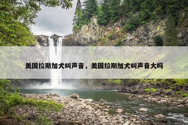 美国拉斯加犬叫声音，美国拉斯加犬叫声音大吗